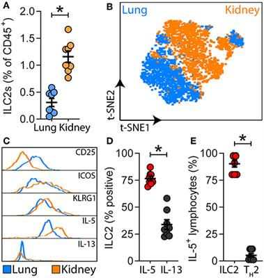 Group 2 Innate Lymphoid Cells Are Redundant in Experimental Renal Ischemia-Reperfusion Injury